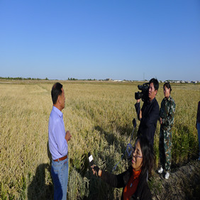2011年央视7套记者王洪明赴内蒙古科右中旗采访盐碱地改良种稻全纪录(图4)