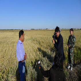 2011年央视7套记者王洪明赴内蒙古科右中旗采访盐碱地改良种稻全纪录(图5)