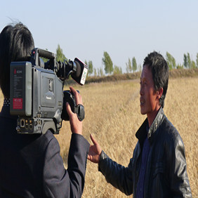 2011年央视7套记者王洪明赴黑龙江肇东采访盐碱地改良种稻全纪录(图6)