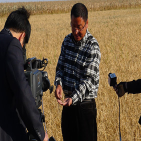 2011年央视7套记者王洪明赴黑龙江肇东采访盐碱地改良种稻全纪录(图5)