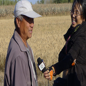 2011年央视7套记者王洪明赴黑龙江肇东采访盐碱地改良种稻全纪录(图4)