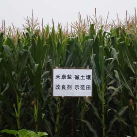 2007年陕西榆林市农业技术推广站应用禾康(图3)