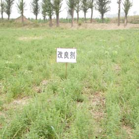 2007年陕西榆林市农业技术推广站应用禾康(图5)