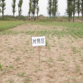2007年陕西榆林市农业技术推广站应用禾康(图6)