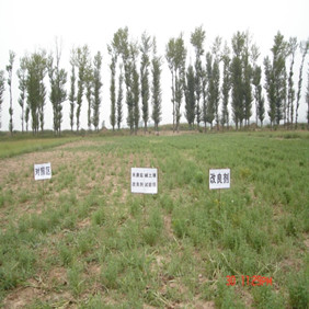 2007年陕西榆林市农业技术推广站应用禾康(图7)