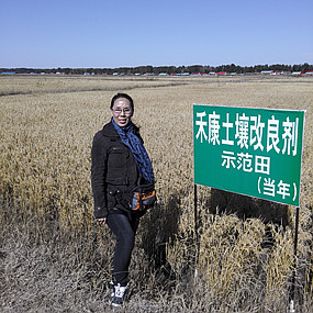 盐碱地种植水稻当年取得成功—2014年吉林省镇赉县电视台新闻报道(图3)