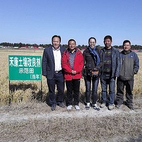 盐碱地种植水稻当年取得成功—2014年吉林省镇赉县电视台新闻报道(图1)