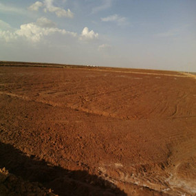2014年春阿克苏用户应用禾康改良剂通过大水漫灌方式改良盐碱荒地(图2)