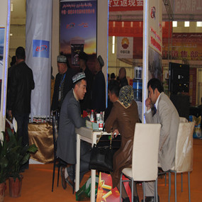 2013年3月参展新疆（喀什）国际农业博览会(图3)
