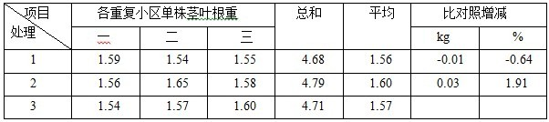 盐碱地种植加工番茄施用禾康试验（新疆昌吉，番茄）(图6)