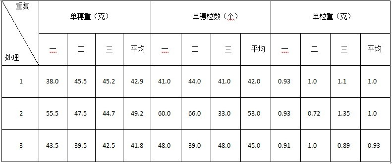 盐碱地种植酿酒葡萄施用禾康肥效试验（新疆昌吉，葡萄）(图4)