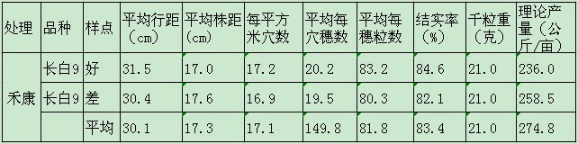 盐碱地种植水稻施用禾康处理测产报告（吉林镇赉县，水稻）(图1)