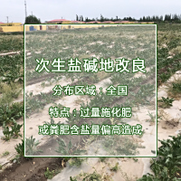 次生盐碱地改良