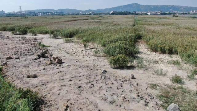 河玉围复耕前面临土地干旱难题